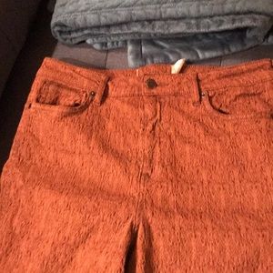 Free People textured skinny pant